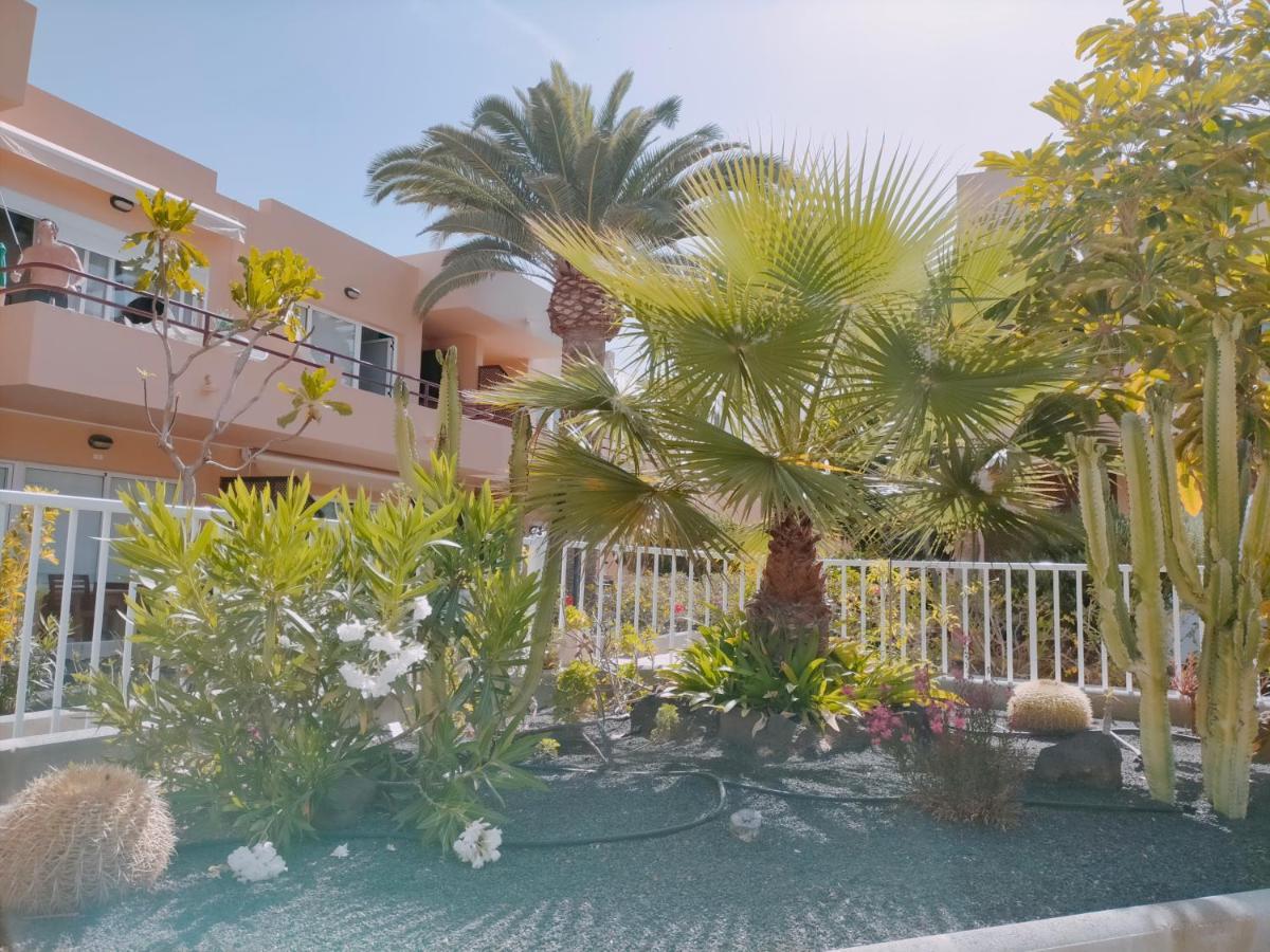 Apartamento Las Vistas 3 科拉雷侯 外观 照片
